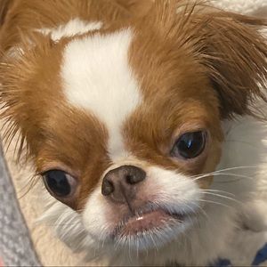 Mommy needs money for more toys for me.